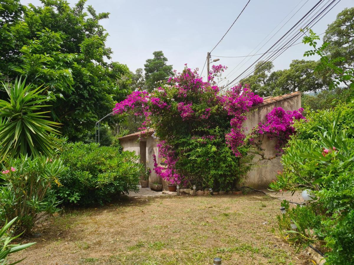 Maisonnette A La Campagne Holiday home